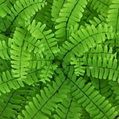 Fern and plant. Botanica. Garden in summer. Green and nature.
