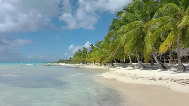 A low drone flight next to a beautify sandy beach and palm trees in Saona Dominican Republic, sunny and luxury winter getaway holiday
