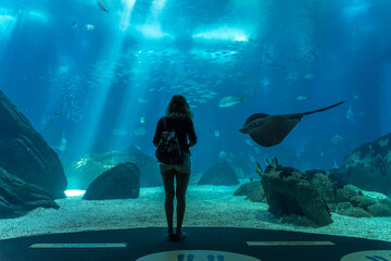 Frau vor riesigem Aquarium