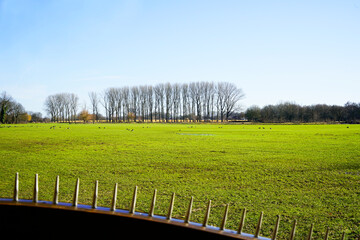 Emsrenaturierung Warendorf. Naturschutzgebiet in Nordrhein Westfalen an der Ems.
