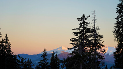 Sunset in the winter forest snow-capped mountains on the background of the silhouette of fir trees soft light