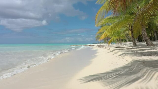 A low flight under palm trees and sandy beach and waves to a sunny coast in Saona Dominican Republic