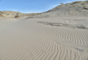 Ripples in the sand dunes by the sea in the Netherlands
