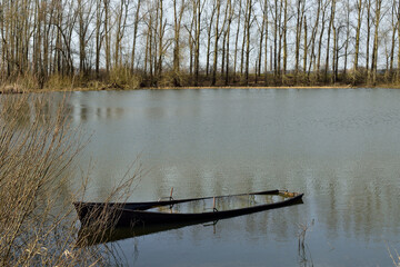 A lonely sunken boat in a Netherlands lake surrounded by trees