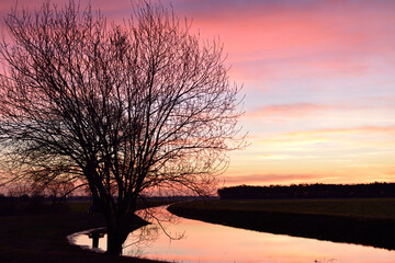 Silhouetted tree with red dawn sky reflecting in the water of a canal close to Vinkel in the Netherlands