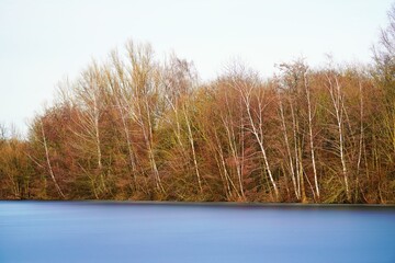 Winterliche Landschaft mit einem zugefrorenen See und kahlen Bäumen. Rolandsee in Beckum,...