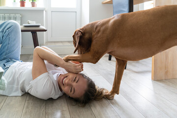 Happy woman owner playing with her lovely Vizsla dog, hugging, lying on the floor at home. Female...