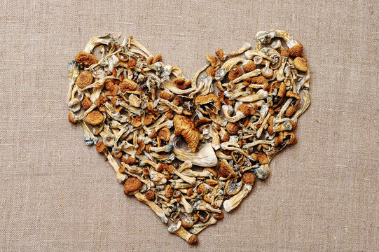 Heart-shaped dry psilocybin mushrooms on beige background. Psychedelic, mind-blowing, magic mushroom. Medical use. Microdosing. Valentines day concept.