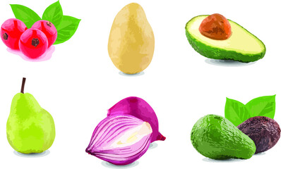 Art Illustration potato Avocado Pear  fruit
