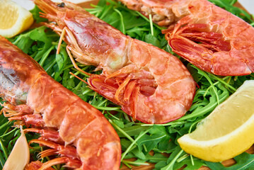 Red raw prawns, close up. Fresh shrimps with lemon and rucola. Seafood background