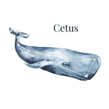 Watercolour Cetus constellation on white background. Watercolor whale illustration.