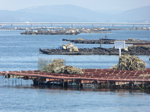 port rafts mussels Galicia mejillomes bateas