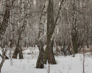 Ural nature not far from Chelyabinsk.