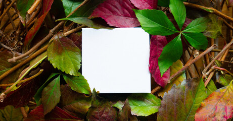 Creative layout made of leaves with paper note. Copy space, 