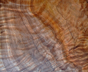 Brown background with natural wood texture and tints of color. Suitable for eco style