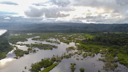 Vista aérea de un humedal