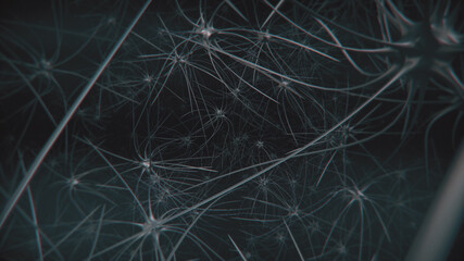 3d rendered illustration of Brain Neuron Cells. High quality 3d illustration