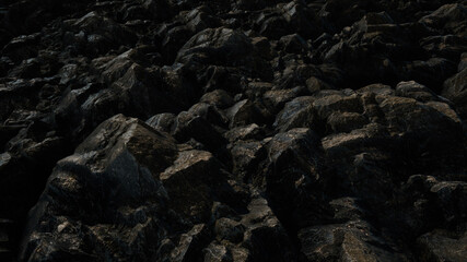 3d rendered illustration of Cinematic Grungy Dark Forest Rocks. High quality 3d illustration