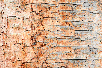 Wooden texture with scratches and cracks. It can be used as a background