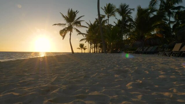 Punta Cana sunset on the sandy beach and sea in the distance behind palm trees