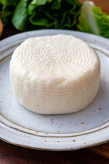 Cheese collection, white Italian sheep cheese pecorino primo sale from Sicily island