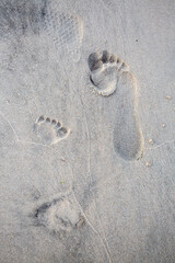 Footprint in the sand on the beach