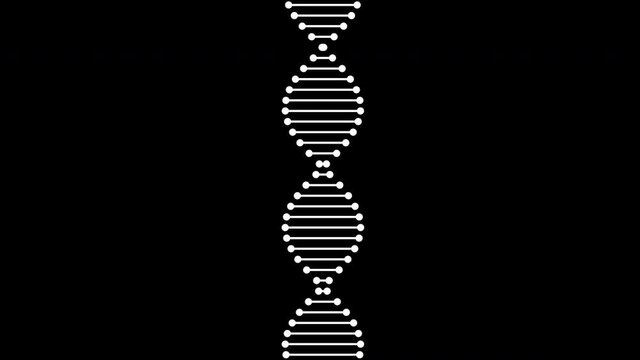 The dna is spinning. Looped video animation. Flat style. Alpha channel. Motion design. 4k. HD