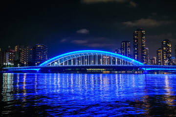 Fototapeta na wymiar 東京 隅田川と永代橋の夜景