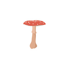 Poisonous red mushroom with white speckles - cartoon amanita