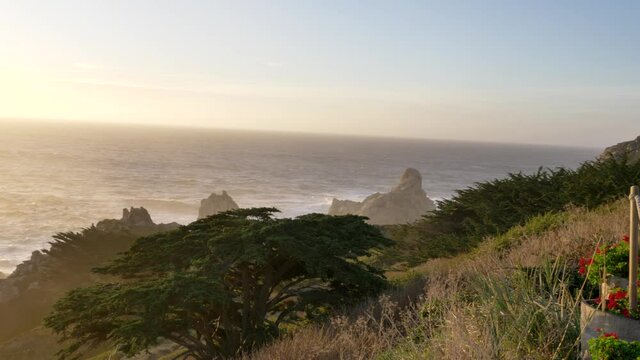 Sunset at scenic Big Sur coast of pacific ocean with beautiful flowers and green plants