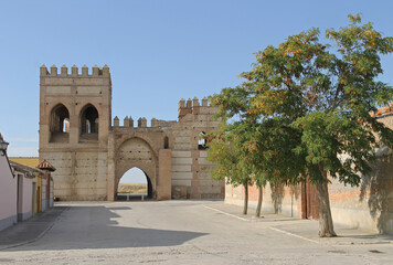 Old door and remains of the walls of the town of Madrigal de las Altas Torres, Ávila (Spain)