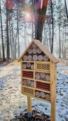 OWADÓW W MIEJSKIM PARKU W ZIMIE