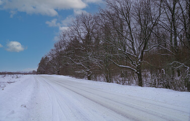 Fototapeta premium a road passing the edge of the forest.winter in the russian federation