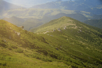 Fototapeta premium Carpathians mountain range at summer morning. Beauty of wild virgin Ukrainian nature. Peacefulness.