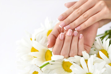 Beautiful woman french manicured hands with fresh daisy flowers