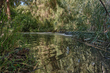 a small cascade of water in the forest