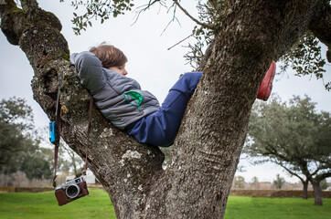 Child boy resting over tree after taking pictures in nature