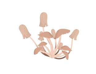 Edible honey mushrooms grow from ground vector illustration on white background