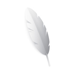 White Paper Feather Composition