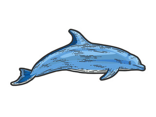 Dolphin, isolated animal. Sketch scratch board imitation illustration.