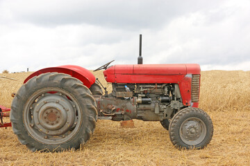 Vintage tractor in a field  © Jenny Thompson