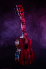 skrzypce, muzyka, instrument, musical, gwintowane, klasycznego, izolowany, gitara, drewna, viola, dzwięk, acoustic, klasyczne, koncert, sztuka, bas, biała, skrzypce, struna, dopełnienie, melodia, orki © fotokutkowska