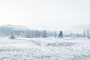 Frozen winter nature landscape | snowy scenery | mountain landscape | snow covered pine tree forest | ice on the country side fields