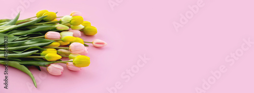 Bouquet of colorful tulips and gift box isolated on pink background. Spring flowers. Greeting card for Birthday, Woman, Mother's Day, Valentine's day. Flat lay. Copy space.