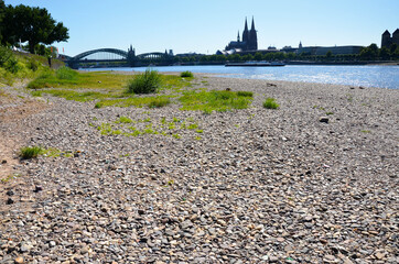 Rhein bei Niedrigwasser mit Kölner Dom im Hintergrund