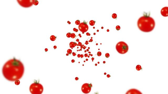 Flying many fresh tomatoes on white background. Organic vegetables. Ripe juicy cherry tomatoes. 3D loop animation of tomato rotating.