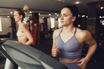 Fototapeta na wymiar Two girls train in the gym. One girl teaches a friend and helps her with training.