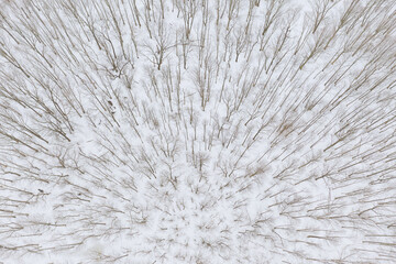 Aerial of Snow Covered Plainsboro Homes Farmland