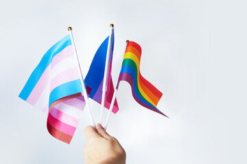 Zero Discrimination Day. Hand with different rainbow flags.