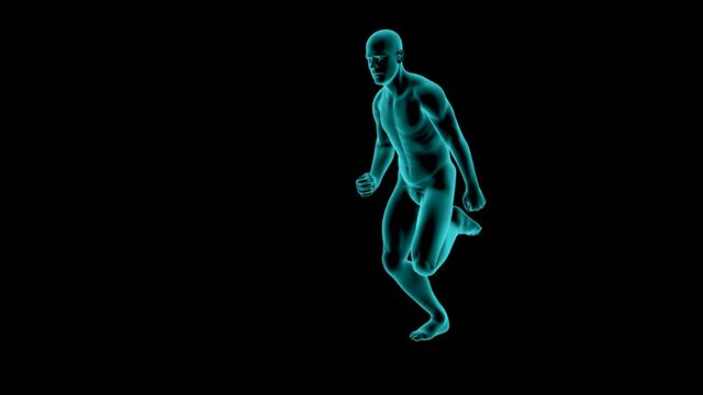 running man in xray loop animation with alpha matt .futuristic hologram look of man running 